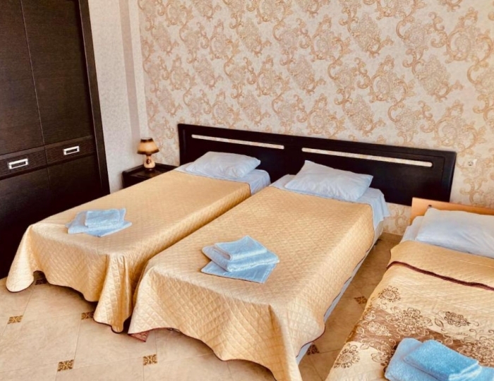 Стандарт 2-местный (3-местное размещение с доп местом) - Отель «Коралл» Цандрипш